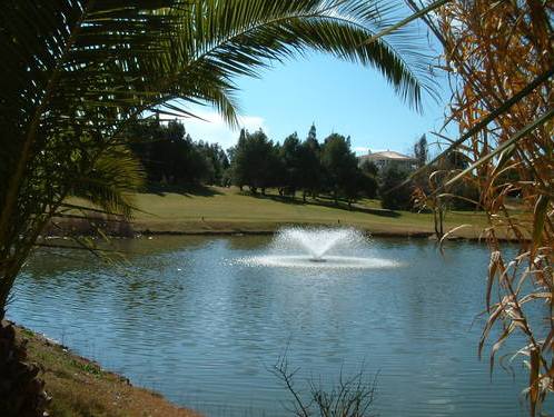 Alto Golf Course Review Image