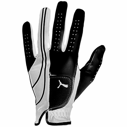 Puma Mens Form Stripe Perform Golf Gloves