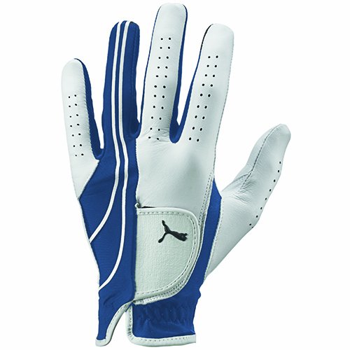 Puma Mens Form Stripe Perform Golf Gloves