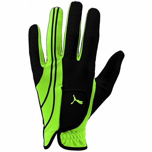 Puma Mens Form Stripe Perform Golf Gloves