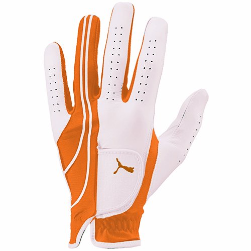 Mens Puma Form Stripe Perform Golf Gloves